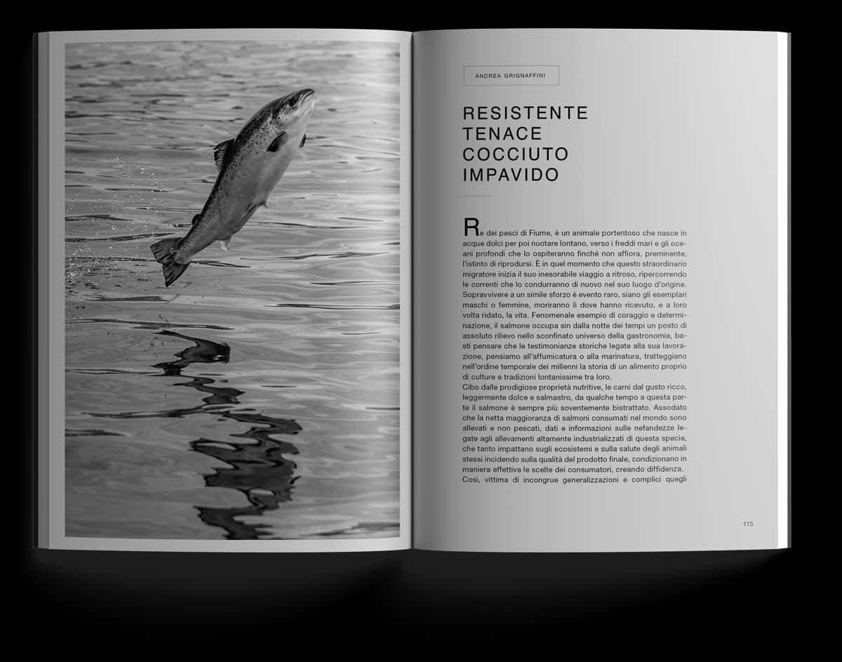 Apertura del libro sul salmone, resistente, tenace e controcorrente